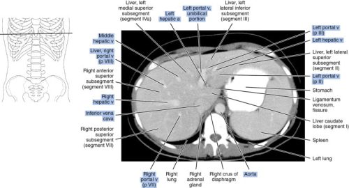 abdominal-02