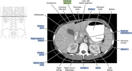 abdominal-06