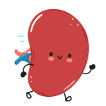 شاخص طحال